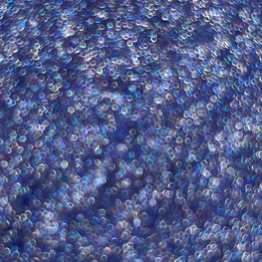 Holo Glitter - Elvira