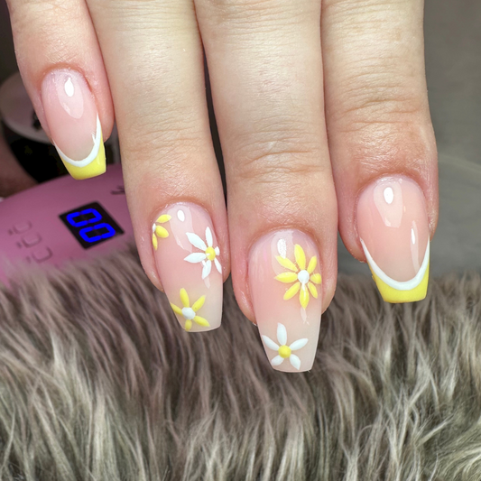Sun Flower French