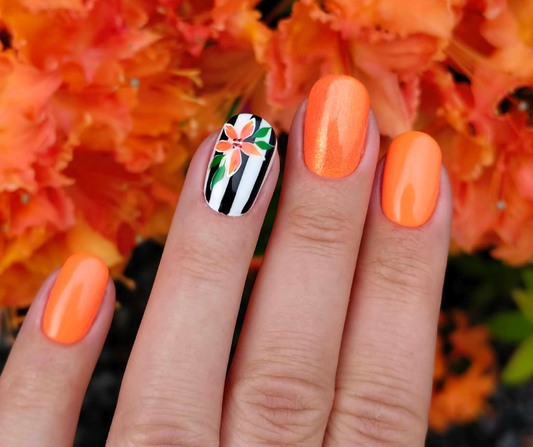 Sunny Stripes☀️