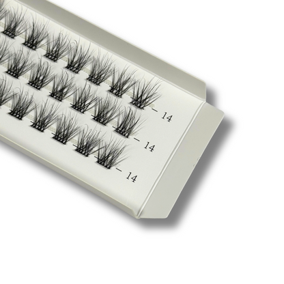 DIY Supreme - Bianca