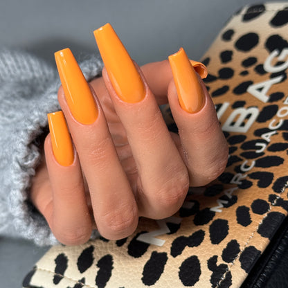 Hybrid Soak-Off - 339